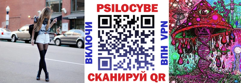 Псилоцибиновые грибы прущие грибы  Шилка 